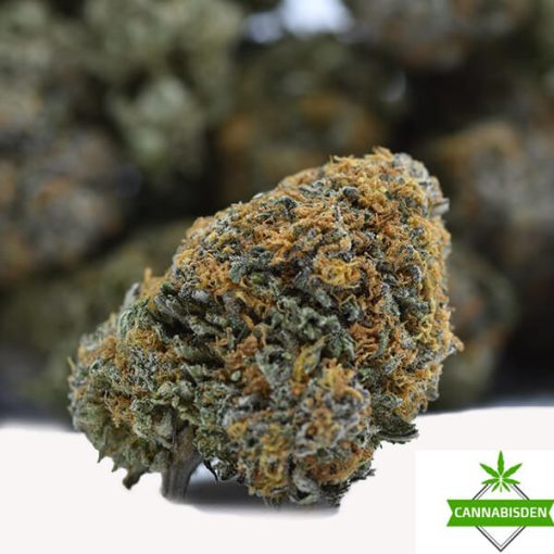 Alaskan Thunder Fuck AAA Flower