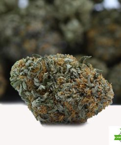 Miracle Alien Cookies - AAAA