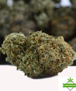White Widow - AAAA
