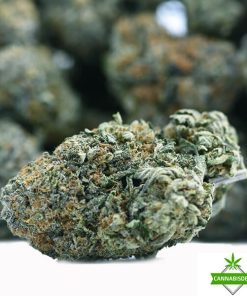 LA’ Bron James - AAAA