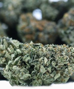 LA’ Bron James - AAAA