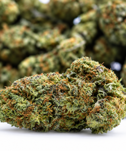 Purple Power Plant- AAA- ($3.57/ gram)