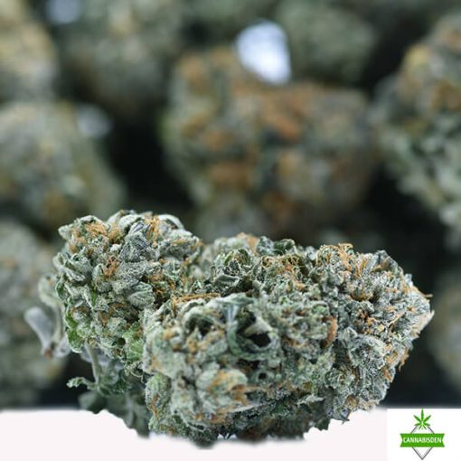 rockstar platinum weed