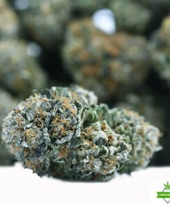 rockstar platinum weed