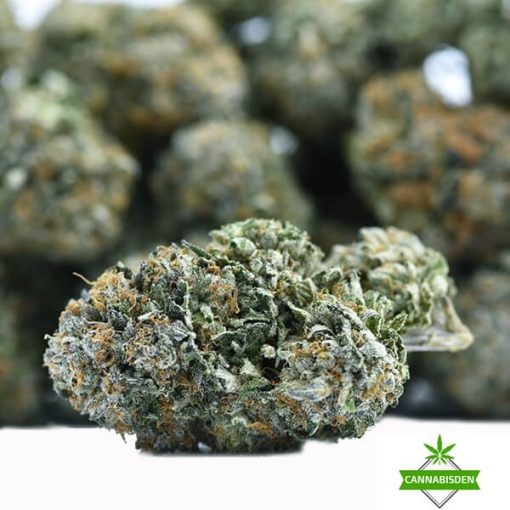 cannabis flower