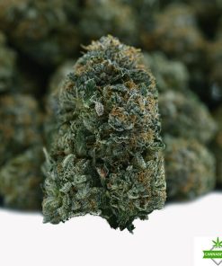 bubba xxx flower