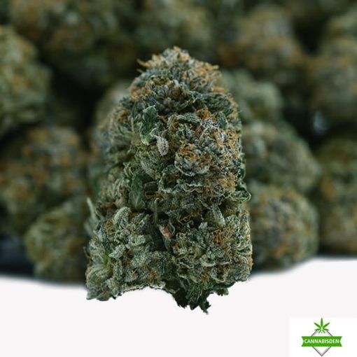 bubba xxx flower
