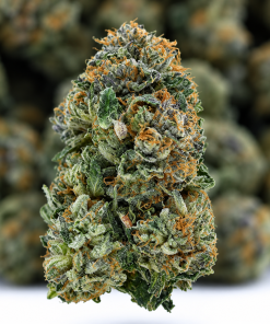 XXX Bubba- AAAA+/Craft- ($9.64/ per gram)