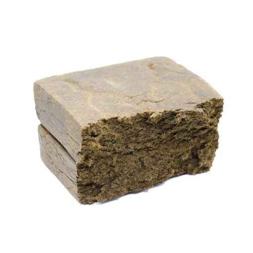 stallion inside hash