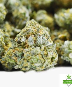 Triple Kush - AAA