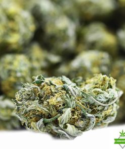 Triple Kush- AAA- ($3.57 / gram)