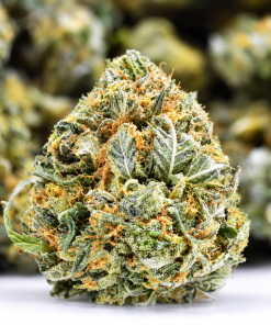 White Lightning- AAA- ($3.57/ gram) - Image 3