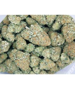 Mystery Strain
