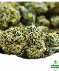 cannabis flower