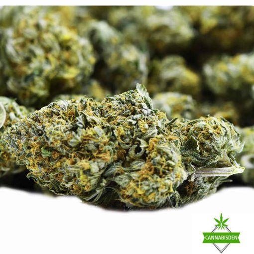 cannabis flower