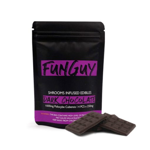 fun guy shroom edibles