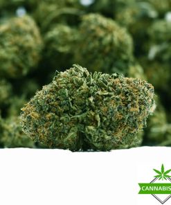 gorilla weed flower