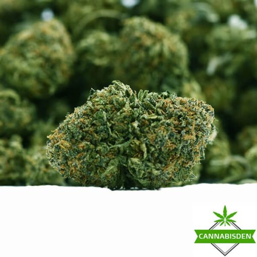 gorilla weed flower