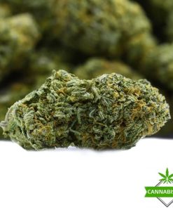 stinky skunk flower