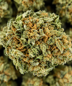 Stinky Skunk- AAA- ($3.57/ gram) - Image 2