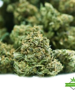 platinum bubba kush