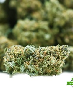 Platinum Bubba Kush - A - cannabisden