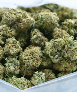 Platinum Bubba Kush - A