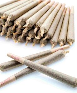 pre rolled joints