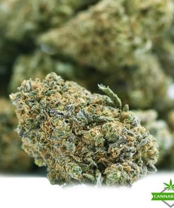 Platinum Bubba Kush - Cannabisden