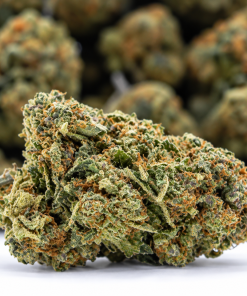 Cookie Monster- AAAA+/Craft- ($9.64/ gram). - Image 2