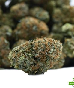 turbo diesel flower