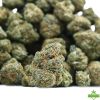 Jack herer Flower