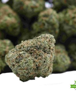 London Pound - Cake - AAAA