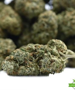 London Pound Cake - AAAA