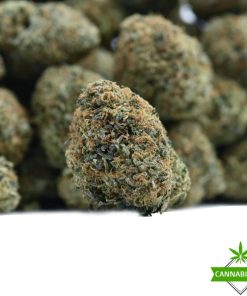 Maui Wowie flower