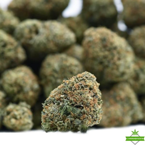 maui wowie weed flower
