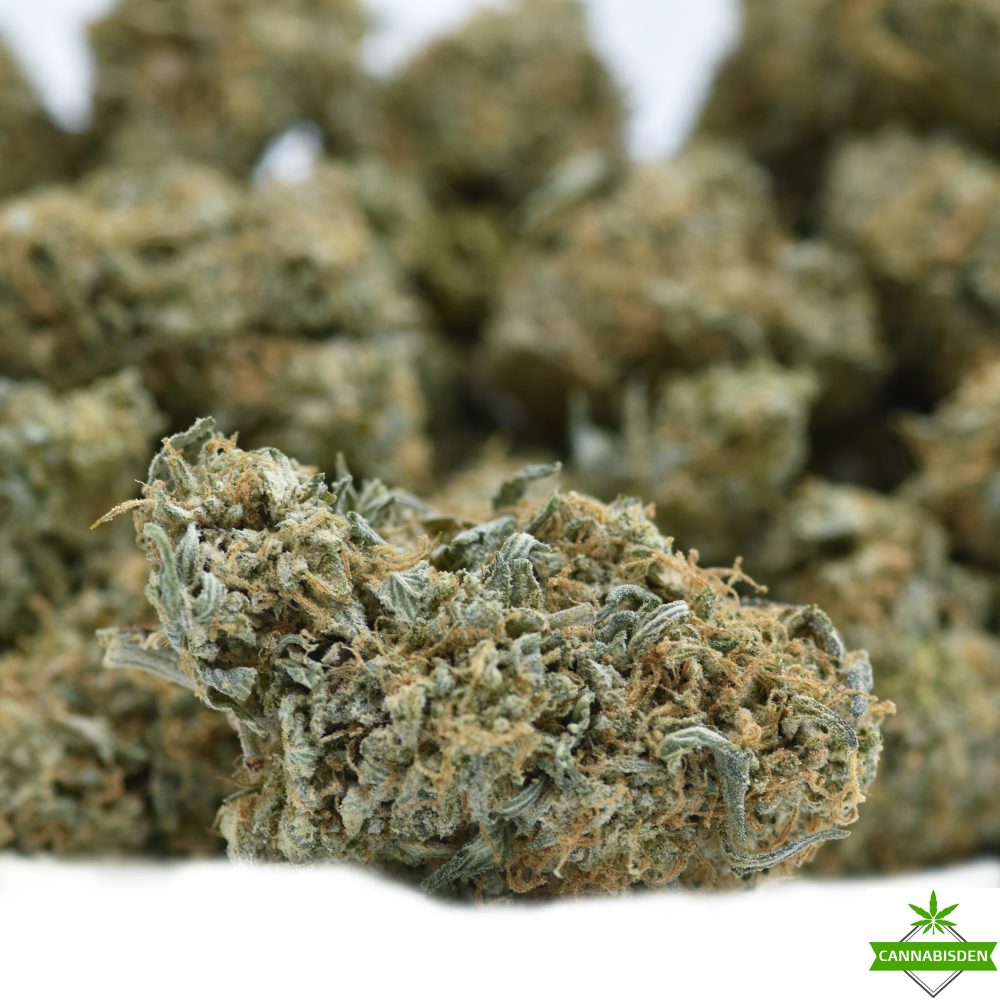 Dirty Sprite Breath weed