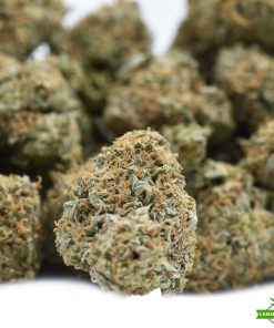 Jet Fuel Gelato