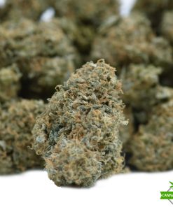 Jet Fuel Gelato