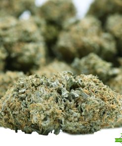 Jet Fuel Gelato