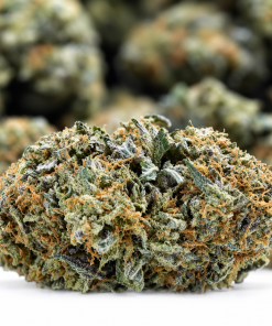 Scotty 2 Hotty - AAAA-($5.71 / gram)