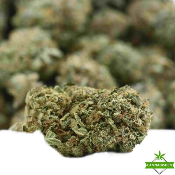 cake pop weed