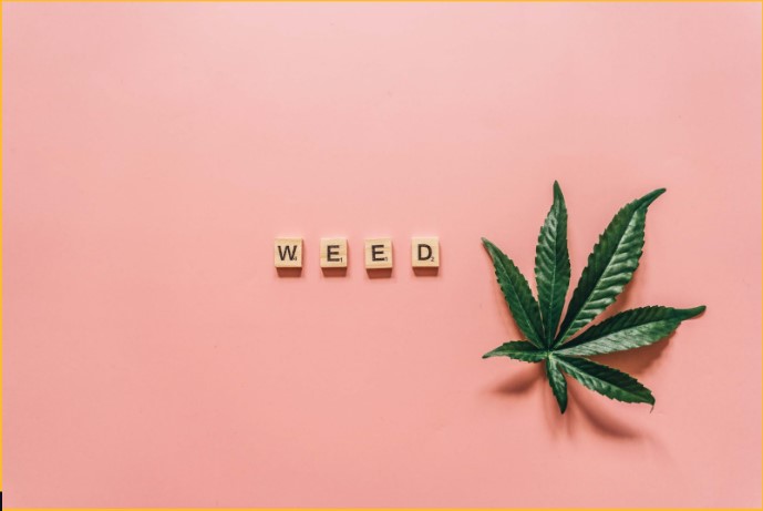 Cannabis Den - Weed