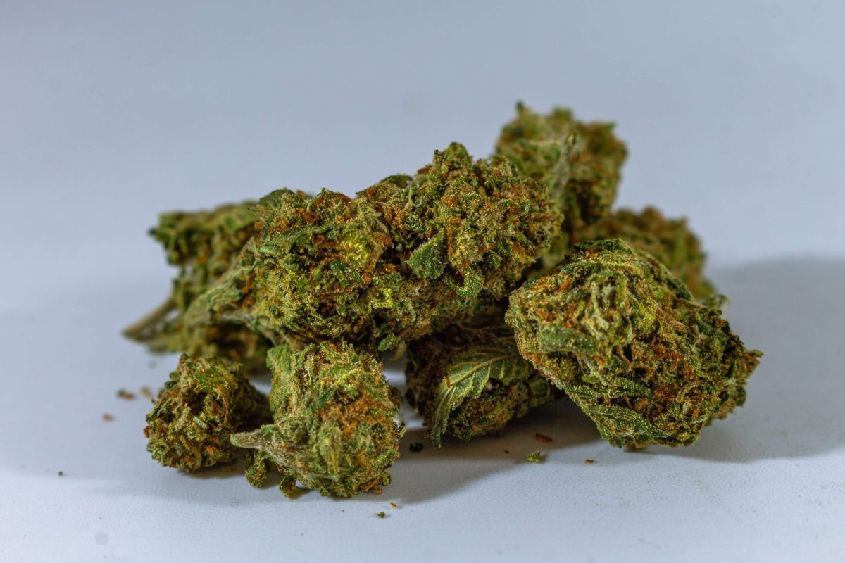 Cannabis Den - king bubba strain