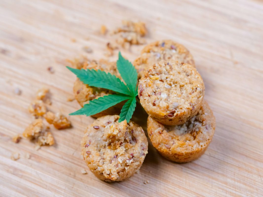 Cannabis Den - Miracle alien cookies