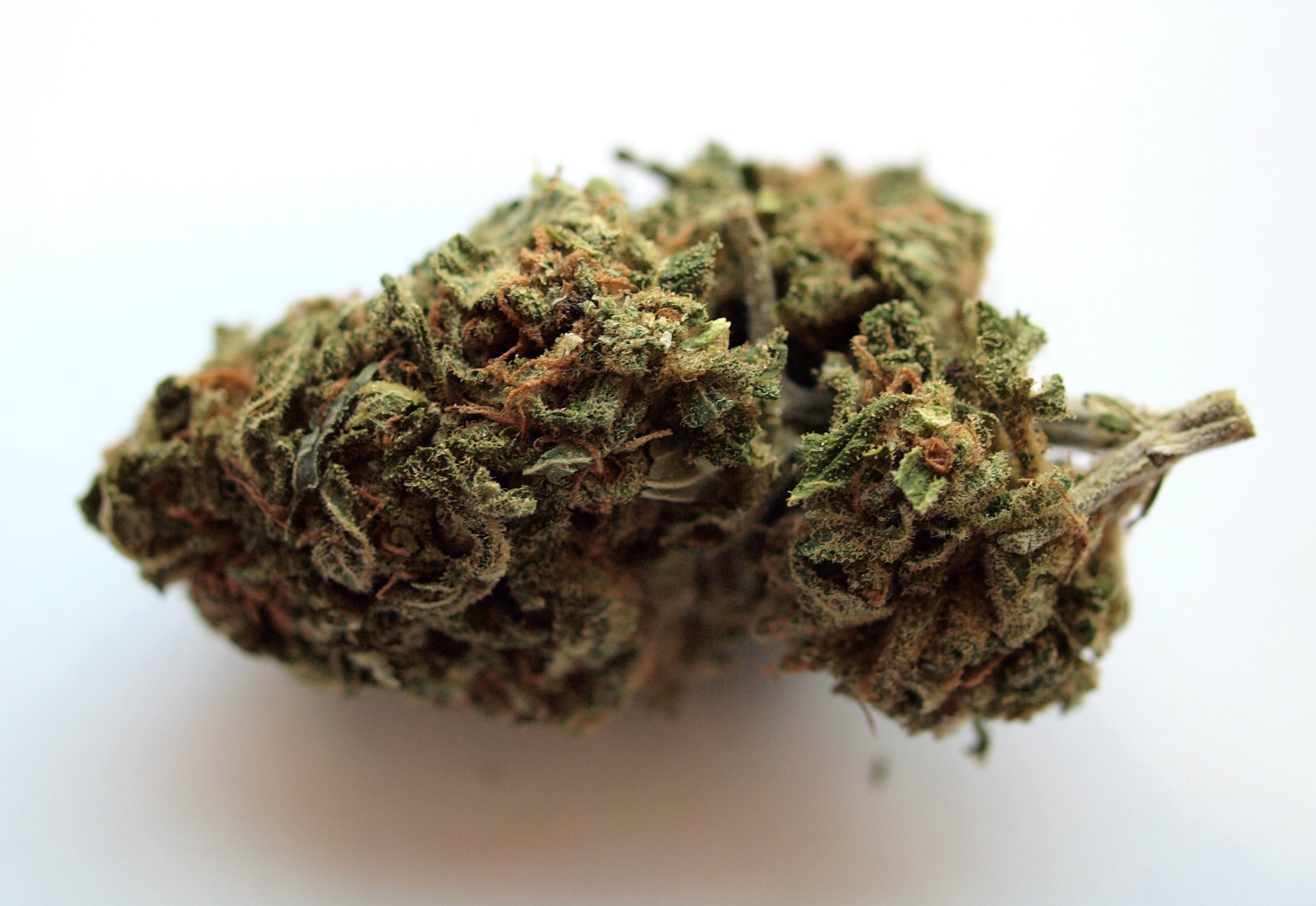 Hybrid weed at Cannabis Den
