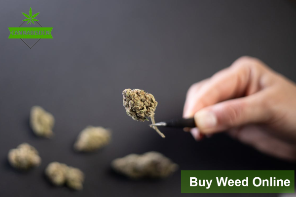Buy Weed Online