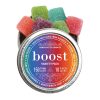 Boost - Handcrafted Gummies - Variety Pack Gummies