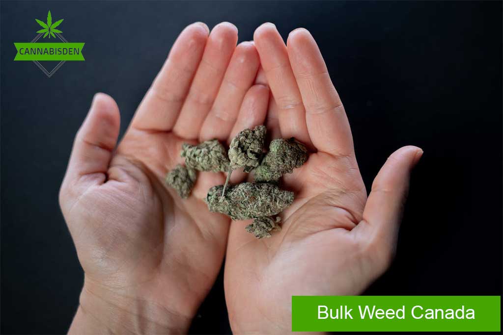 Bulk Weed Canada
