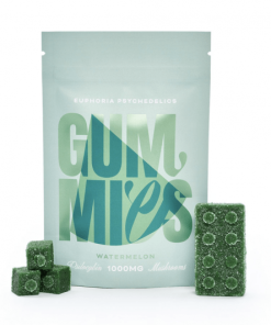 Euphoria Psychedelics - Watermelon Gummies